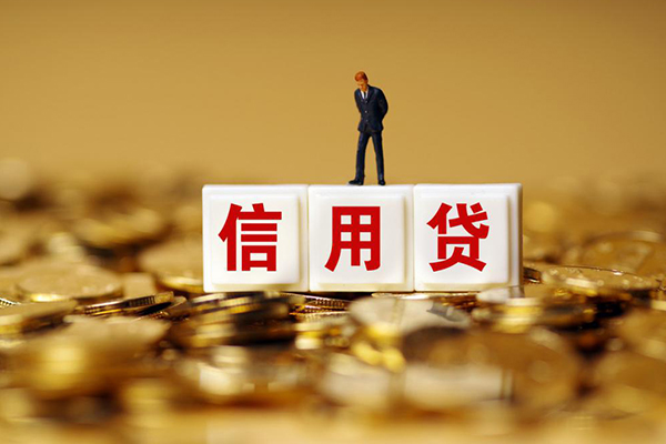 成都快借小额信用贷款